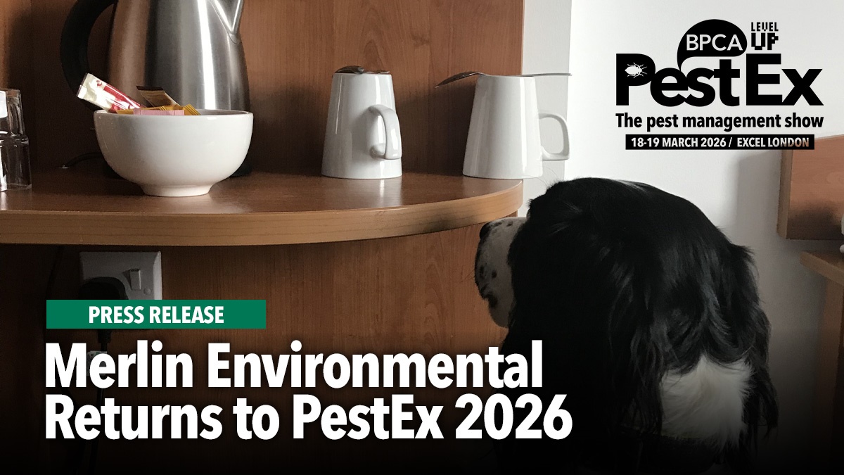 merlin-env-returns-to-pestex-hero